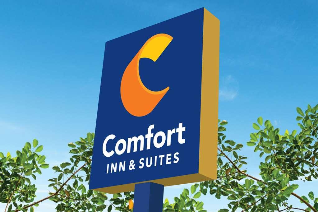 Comfort Inn & Suites Temple - Medical Center Bagian luar foto