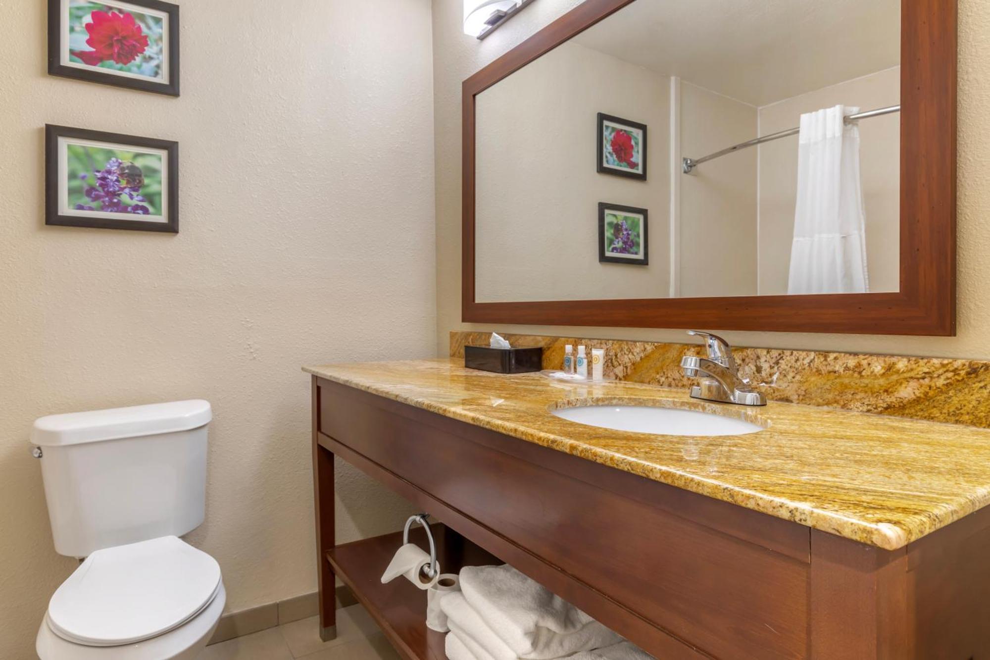 Comfort Inn & Suites Temple - Medical Center Bagian luar foto