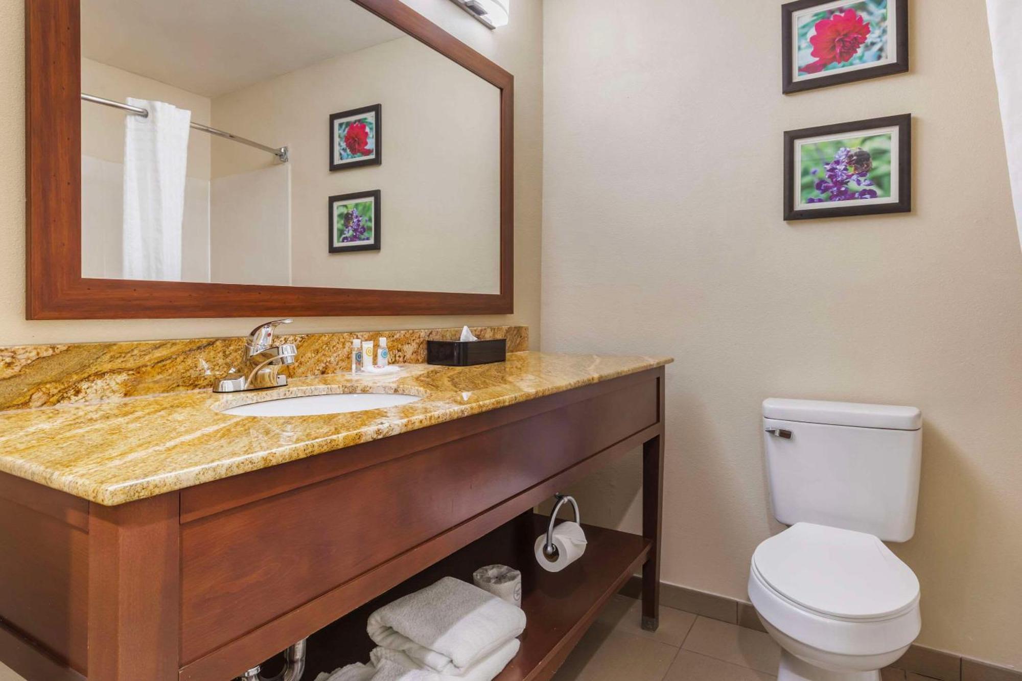 Comfort Inn & Suites Temple - Medical Center Bagian luar foto